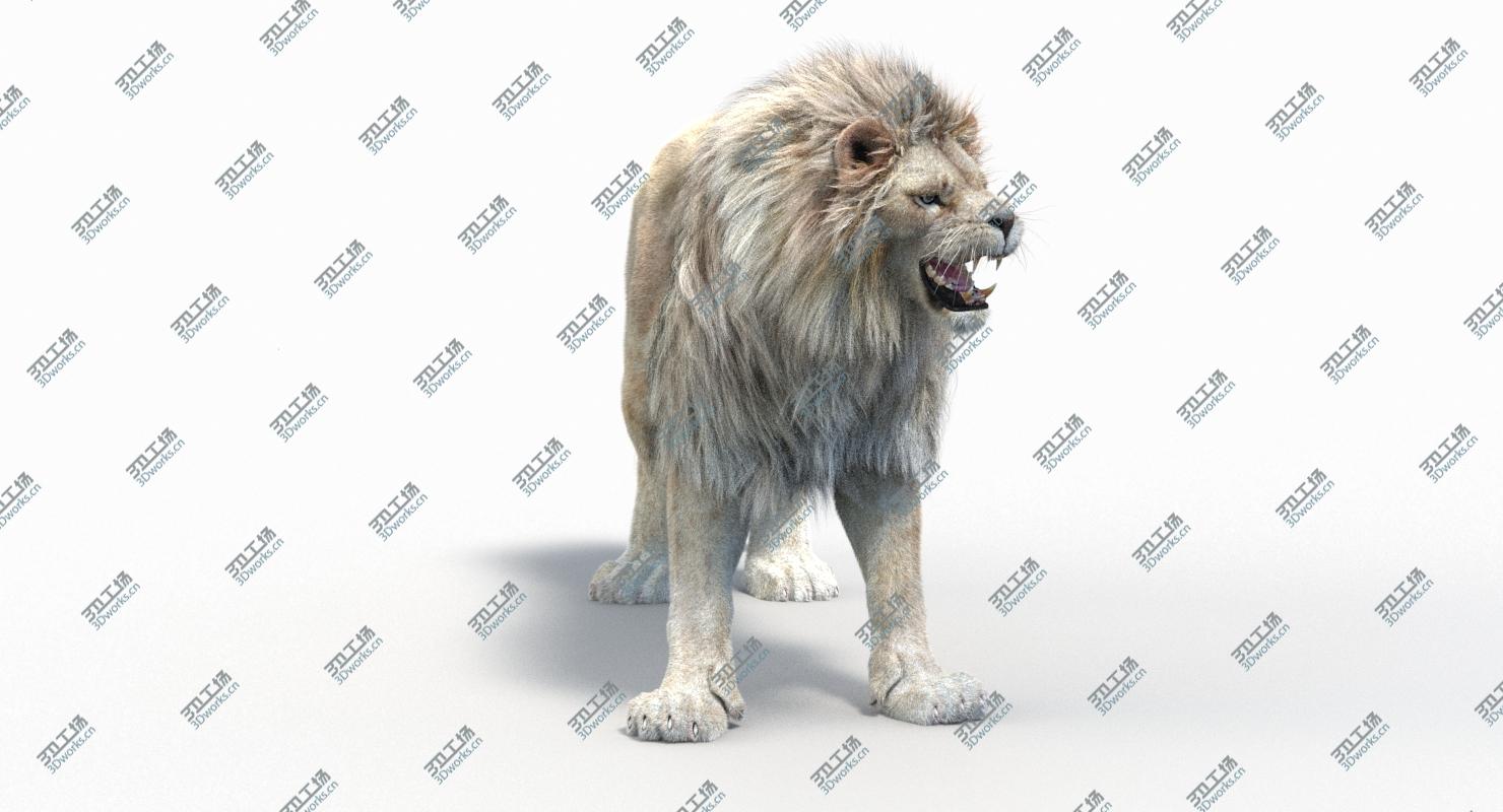 images/goods_img/202105072/3D model White Lion (2) (Fur)(Animated)/5.jpg